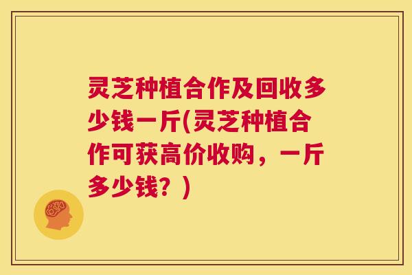 灵芝种植合作及回收多少钱一斤(灵芝种植合作可获高价收购，一斤多少钱？)  第1张