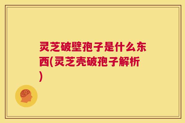 灵芝破壁孢子是什么东西(灵芝壳破孢子解析) 第1张 灵芝破壁孢子是什么东西(灵芝壳破孢子解析) 第1张