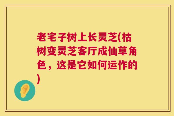 老宅子树上长灵芝(枯树变灵芝客厅成仙草角色，这是它如何运作的)  第1张