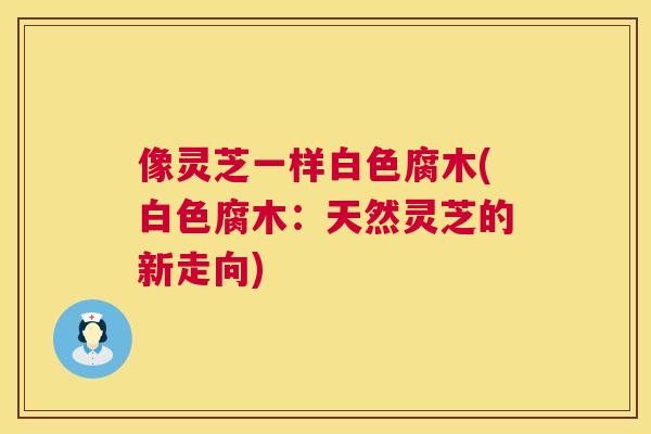 像灵芝一样白色腐木(白色腐木:天然灵芝的新走向) 第1张 像灵芝一样白色腐木(白色腐木:天然灵芝的新走向) 第1张