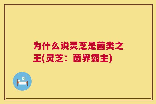 为什么说灵芝是菌类之王(灵芝:菌界霸主) 第1张 为什么说灵芝是菌类之王(灵芝:菌界霸主) 第1张