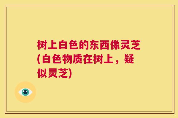 树上白色的东西像灵芝(白色物质在树上，疑似灵芝)  第1张