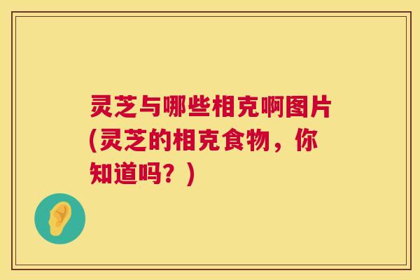 灵芝与哪些相克啊图片(灵芝的相克食物,你知道吗?) 第1张 灵芝与哪些相克啊图片(灵芝的相克食物,你知道吗?) 第1张