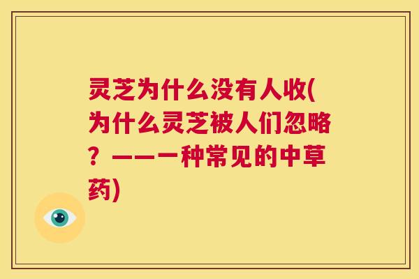 灵芝为什么没有人收(为什么灵芝被人们忽略?——一种常见的中草药) 第1张 灵芝为什么没有人收(为什么灵芝被人们忽略?——一种常见的中草药) 第1张