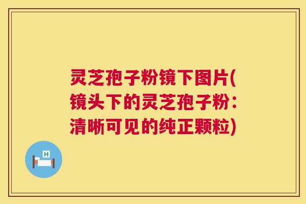 灵芝孢子粉镜下图片(镜头下的灵芝孢子粉:清晰可见的纯正颗粒) 第1张 灵芝孢子粉镜下图片(镜头下的灵芝孢子粉:清晰可见的纯正颗粒) 第1张