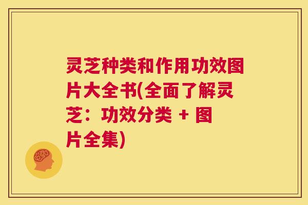 灵芝种类和作用功效图片大全书(全面了解灵芝:功效分类 + 图片全集) 第1张 灵芝种类和作用功效图片大全书(全面了解灵芝:功效分类 + 图片全集) 第1张